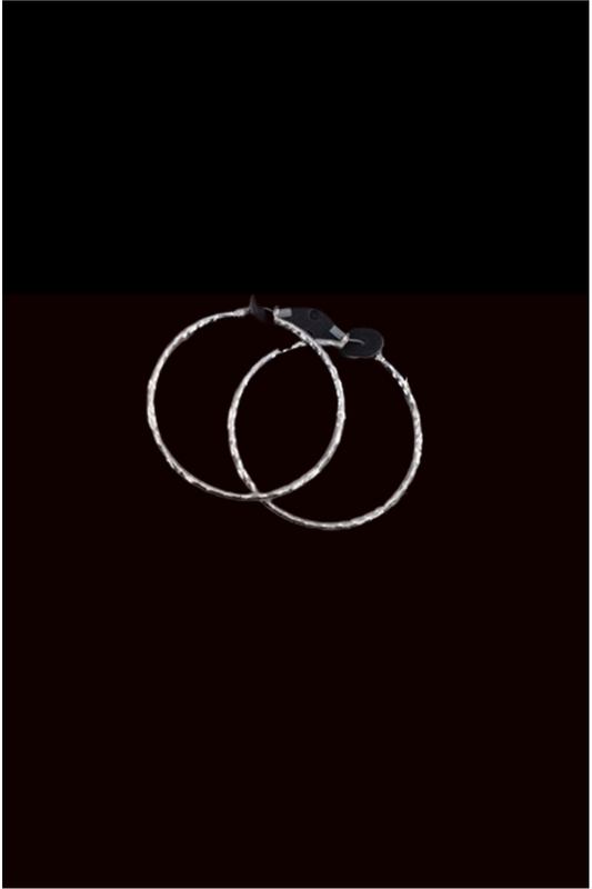 Silver Luxe Hoop Earrings